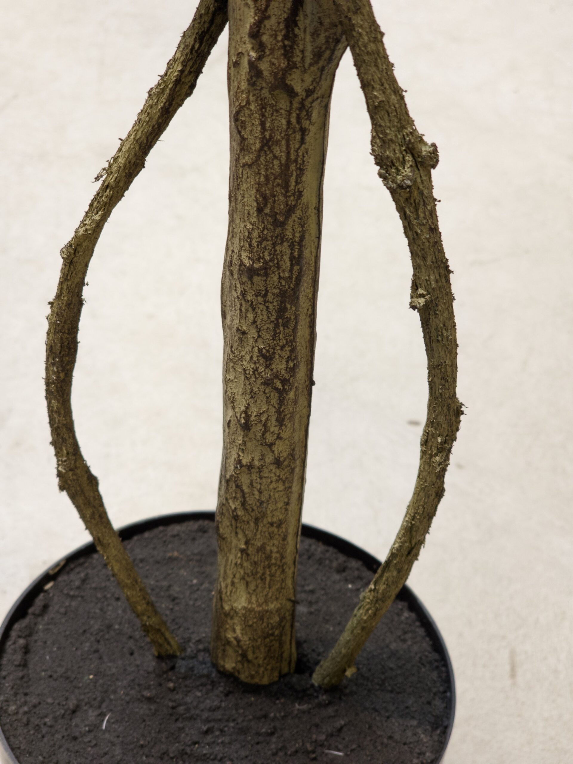 Artificial plant Rose on stem in bloom white 120cm