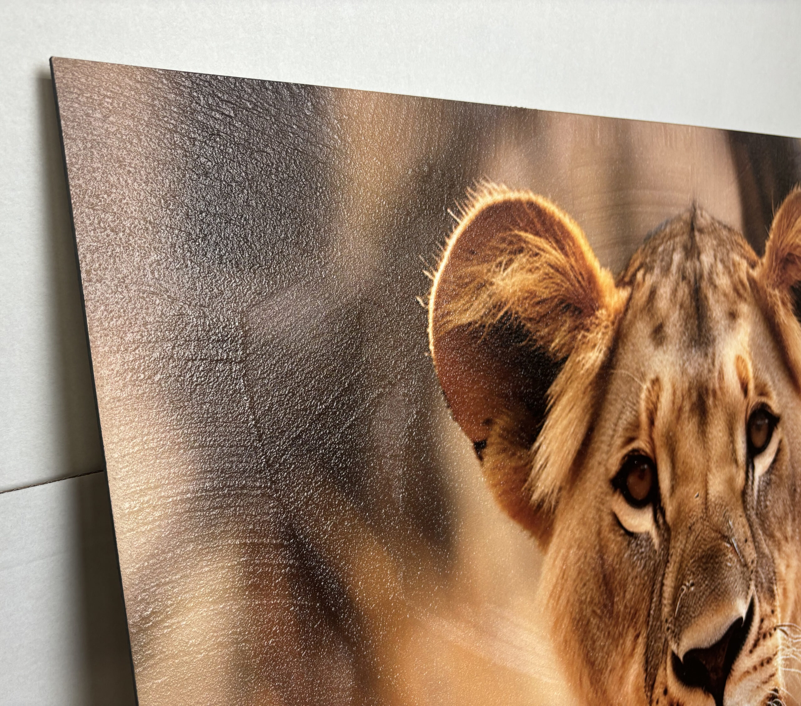 Malerei Strukturpaneel Cub&lioness in 4 Größen