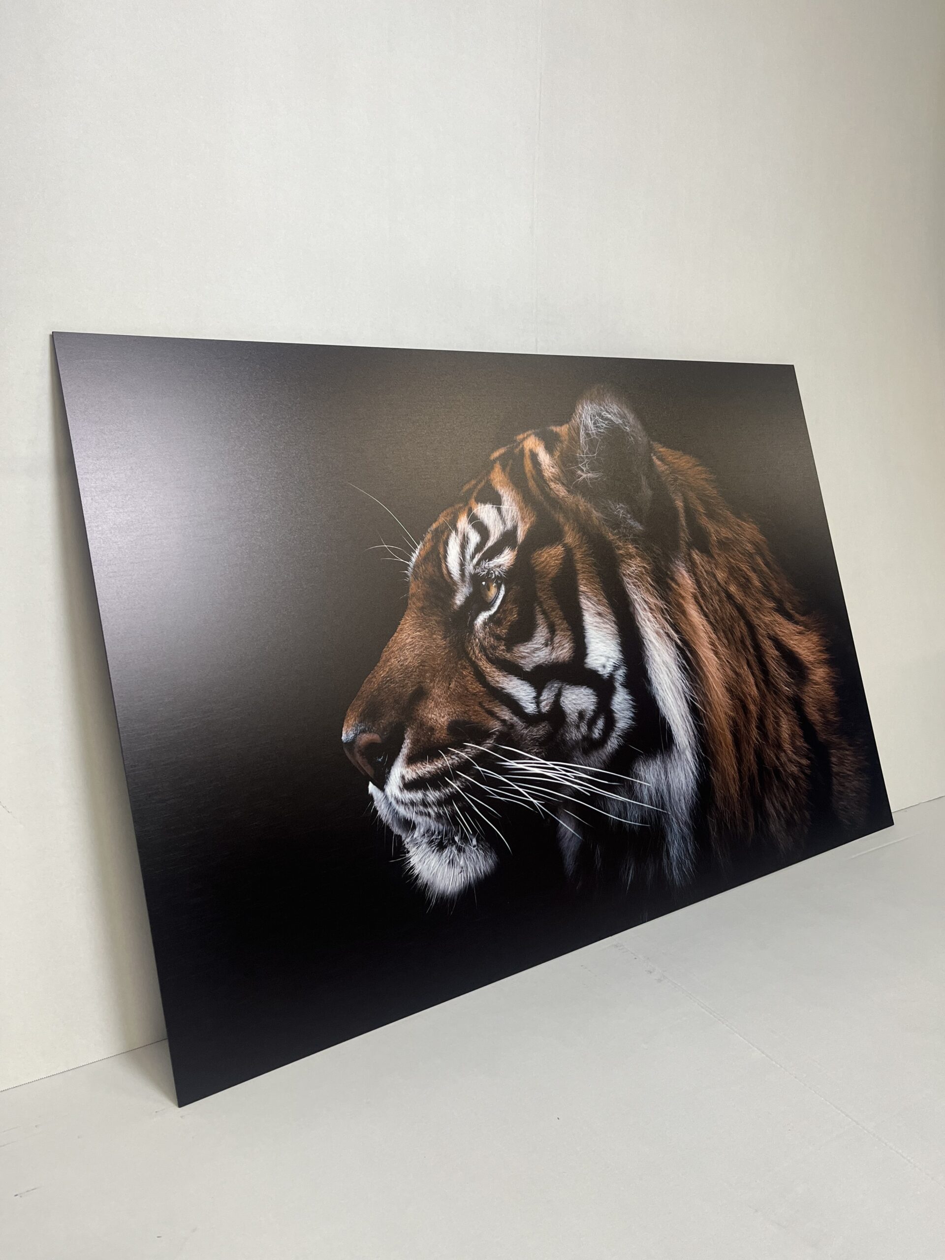Malerei Deco Tafel Tiger in 4 Größen