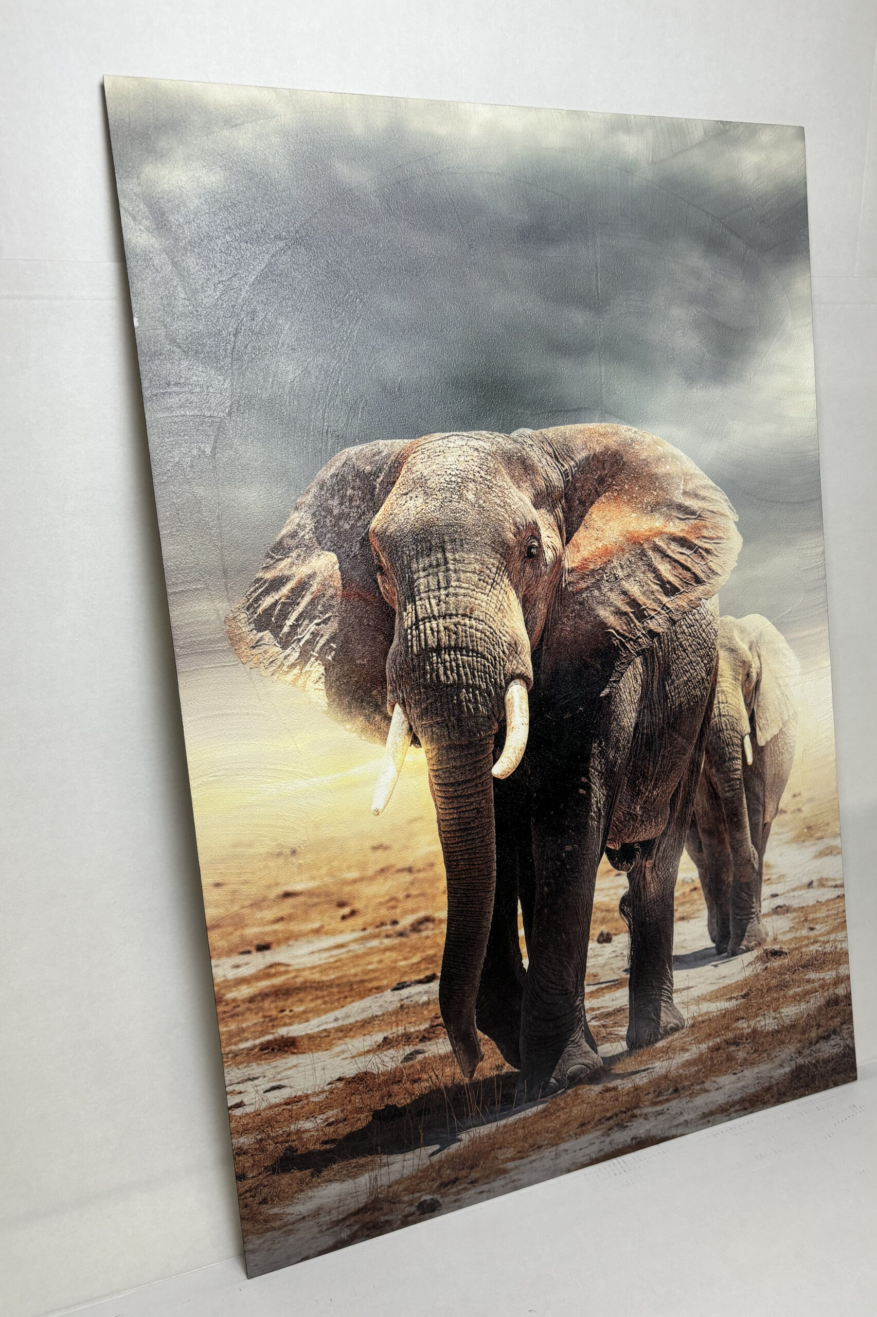 Schilderij Structuur paneel Olifanten in 4 maten