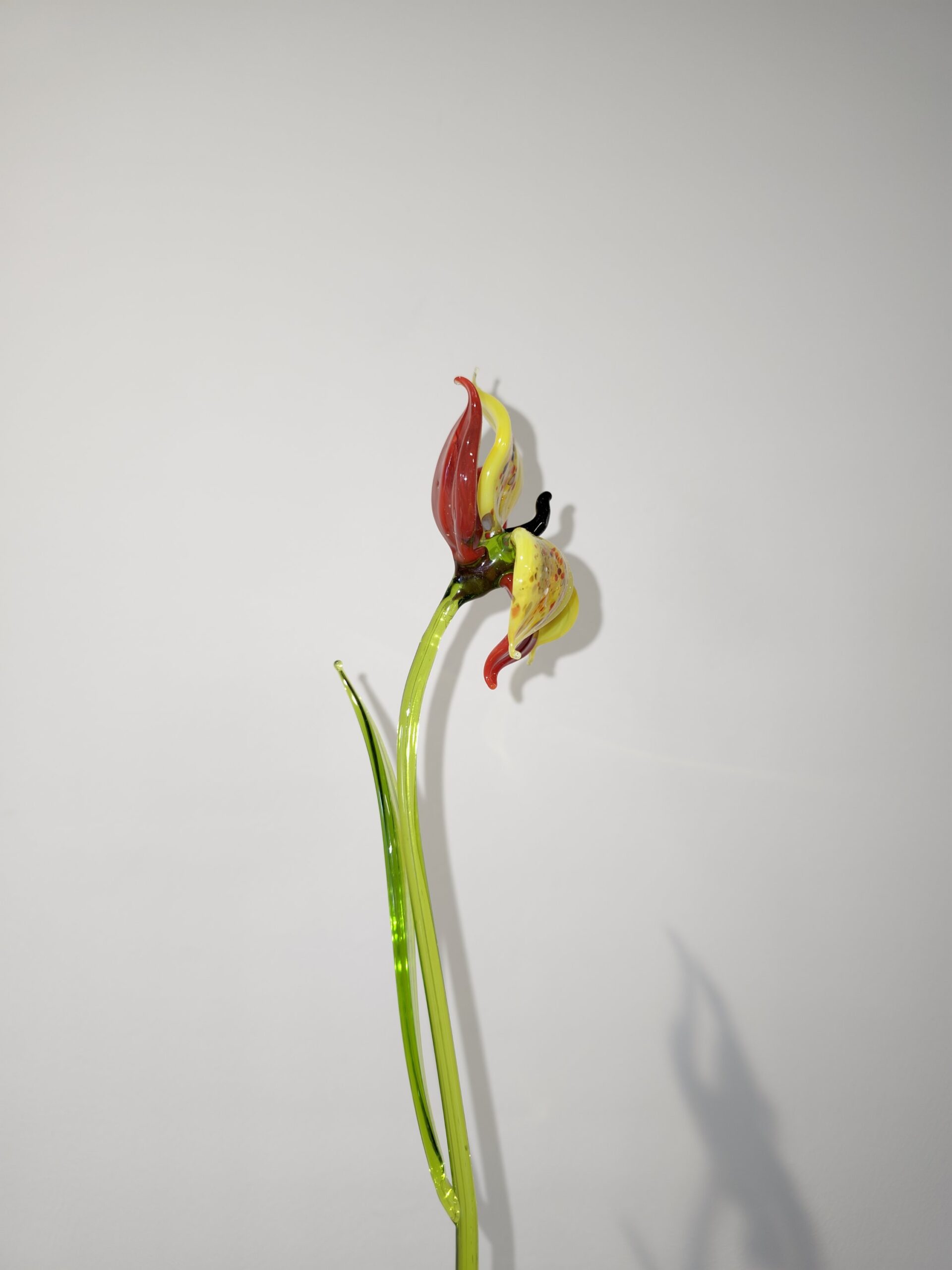 Flower glass Miltonia orchid 30cm red yellow