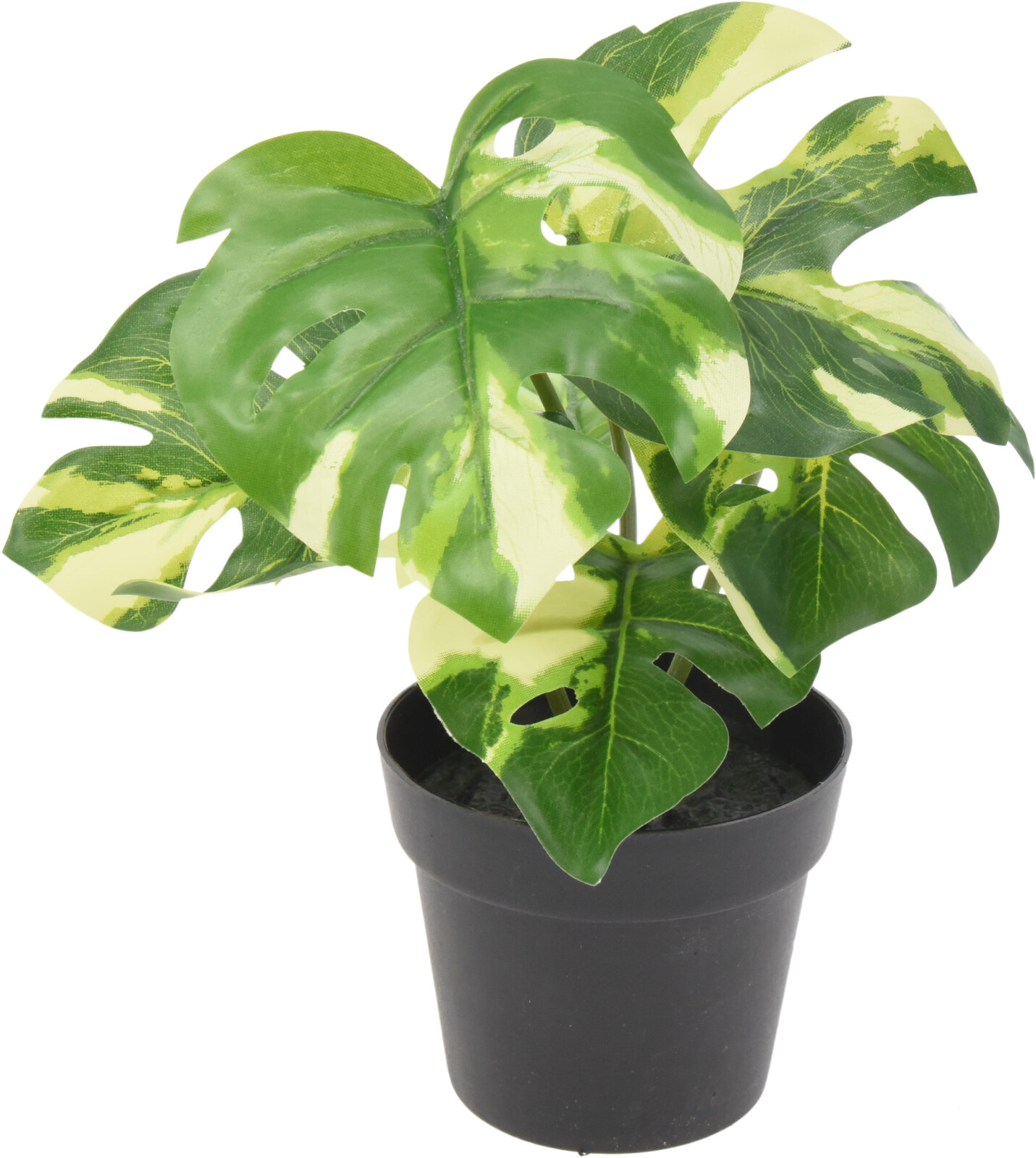 317355010_ASSORTED_001_