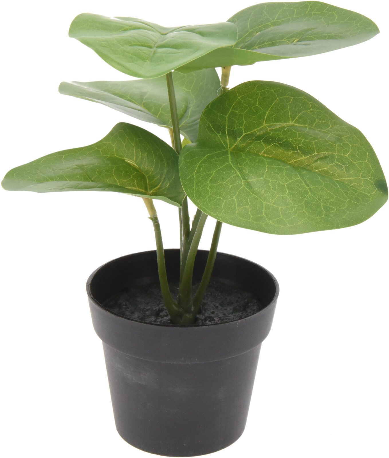 317355010_ASSORTED_004_