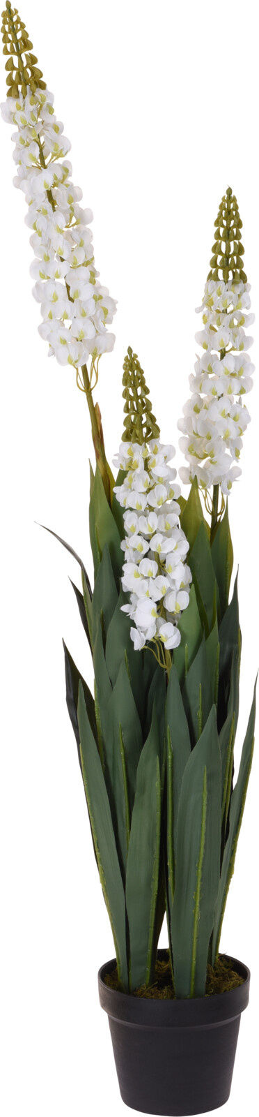 318000820_ASSORTED_003_