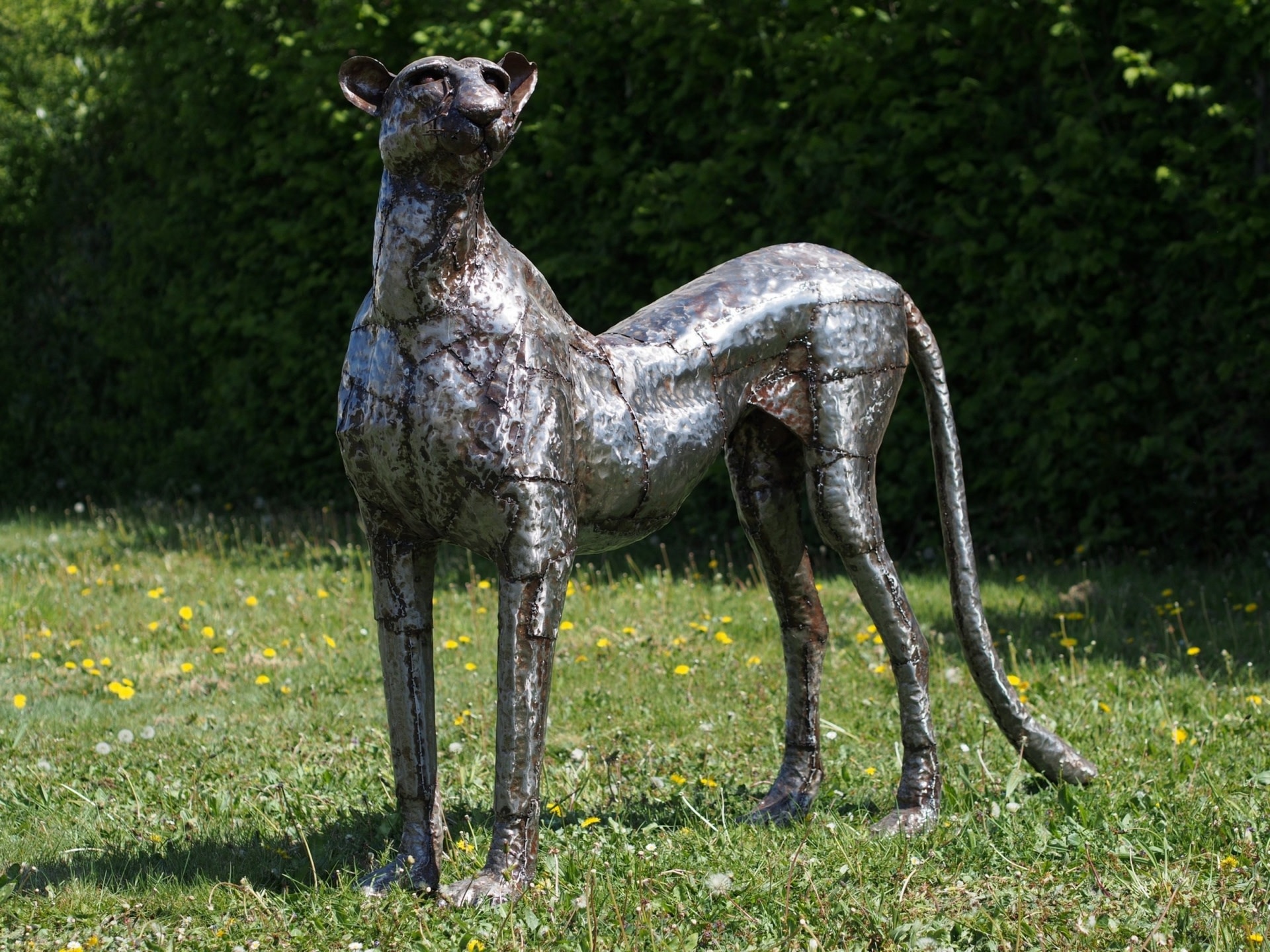 Cheeta Eisen Eliassen.nl AA8014