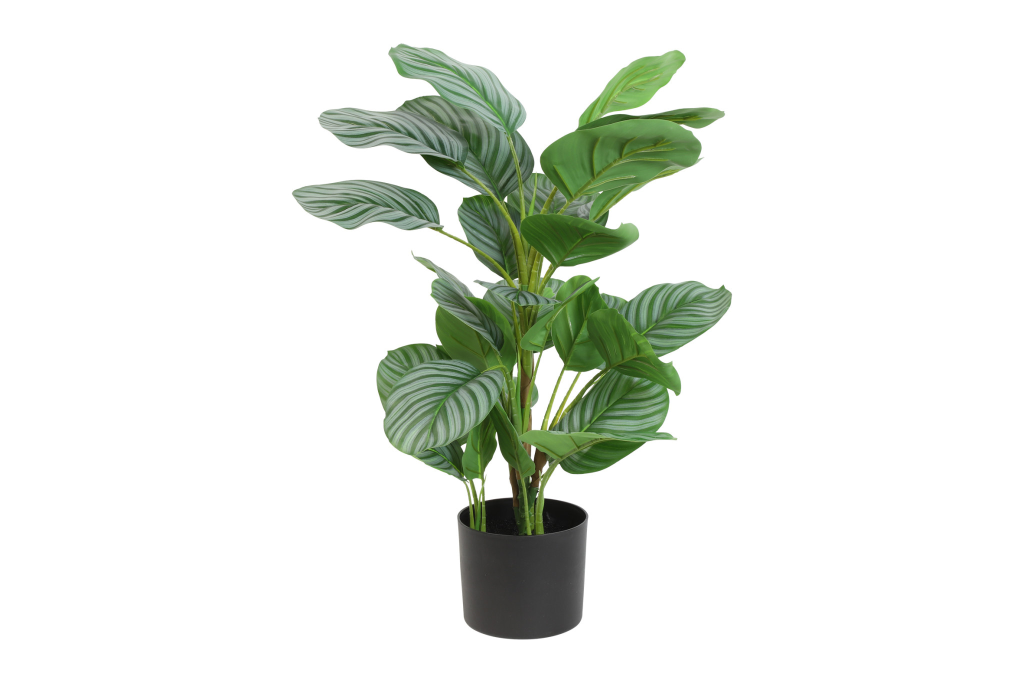 Kunstplant Calathea Eliassen.nl 807773