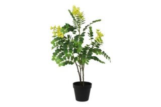 Kunstplant Cassia glauca geel 60cm - Eliassen.nl