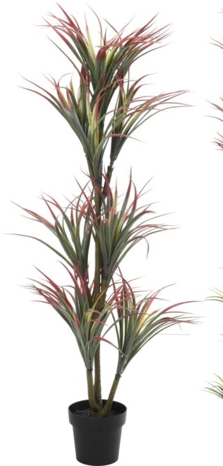 Künstliche Pflanze Draecena marginata Eliassen.nl 318000140