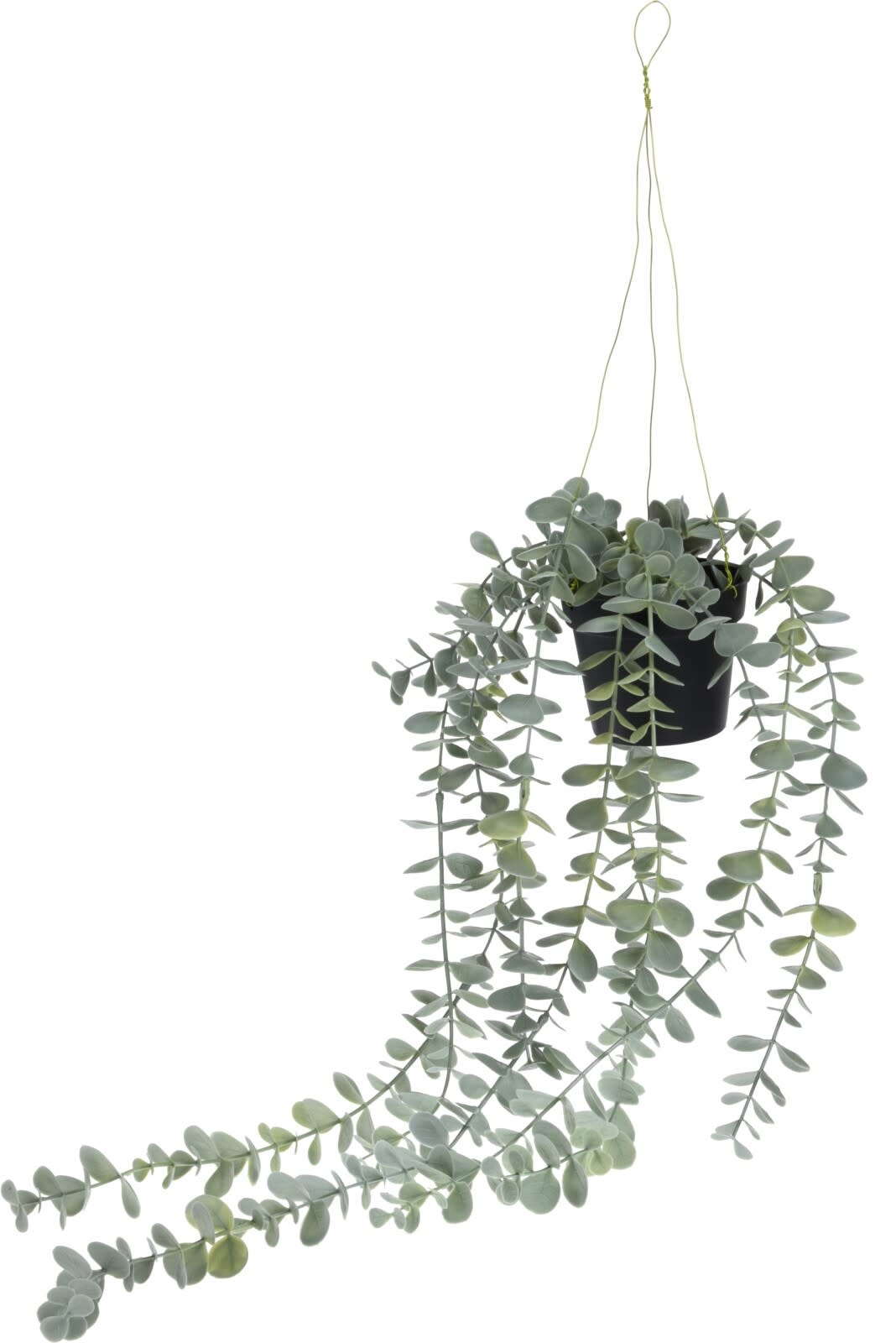 Kunstplant hangplant eucalyptus Eliassen.nl 317221070