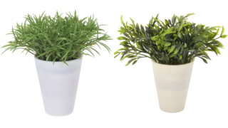 Künstliche Pflanzen in leichten Töpfen Eliassen.nl