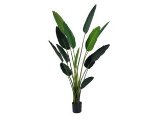 Künstliche Pflanze Strelitzia 185cm Eliassen.nl 118780
