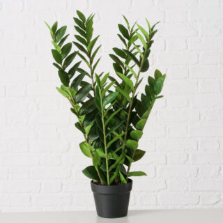 Künstliche Pflanze Zamimioculcas 76cm Eliassen.nl 2043808