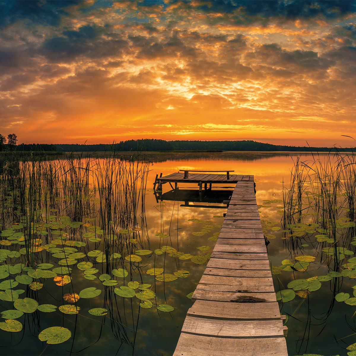 Schilderij paneel Eliassen.nl  panorama-0927-1x1