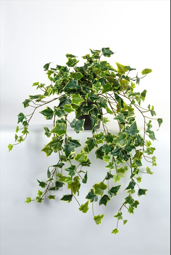 Kunst hangplant Hedera bont  80cm Eliassen.nl 10053ppb