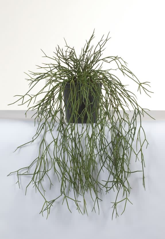Kunst hangplant Rhipsalis 40cm  Eliassen.nl 81034ppp