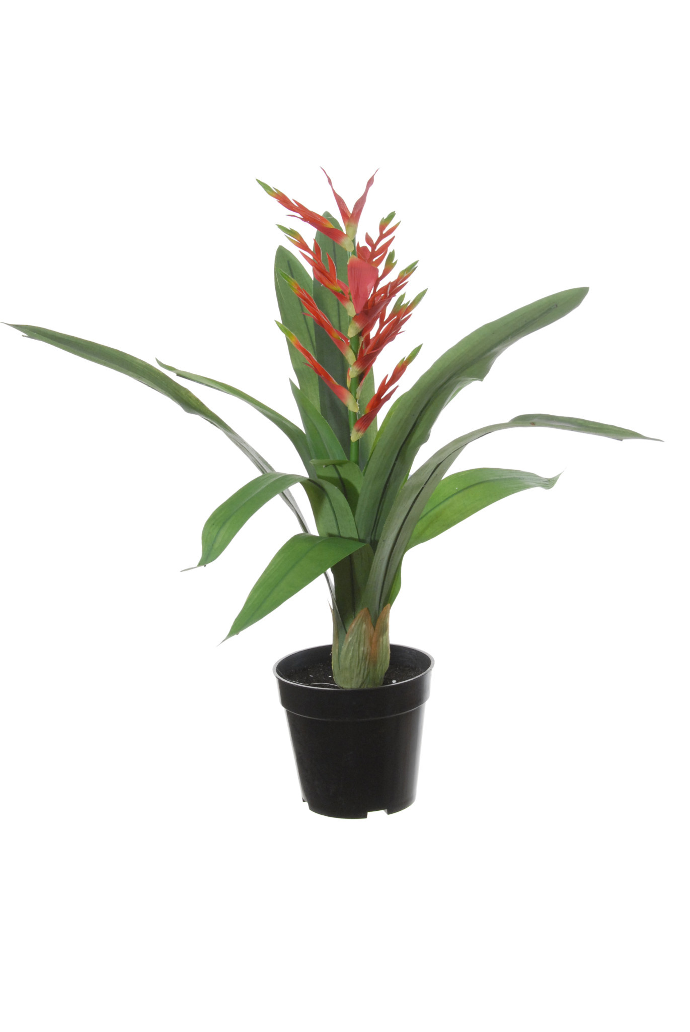 Artificial plant Guzmania 60cm red Eliassen.nl 40802 526