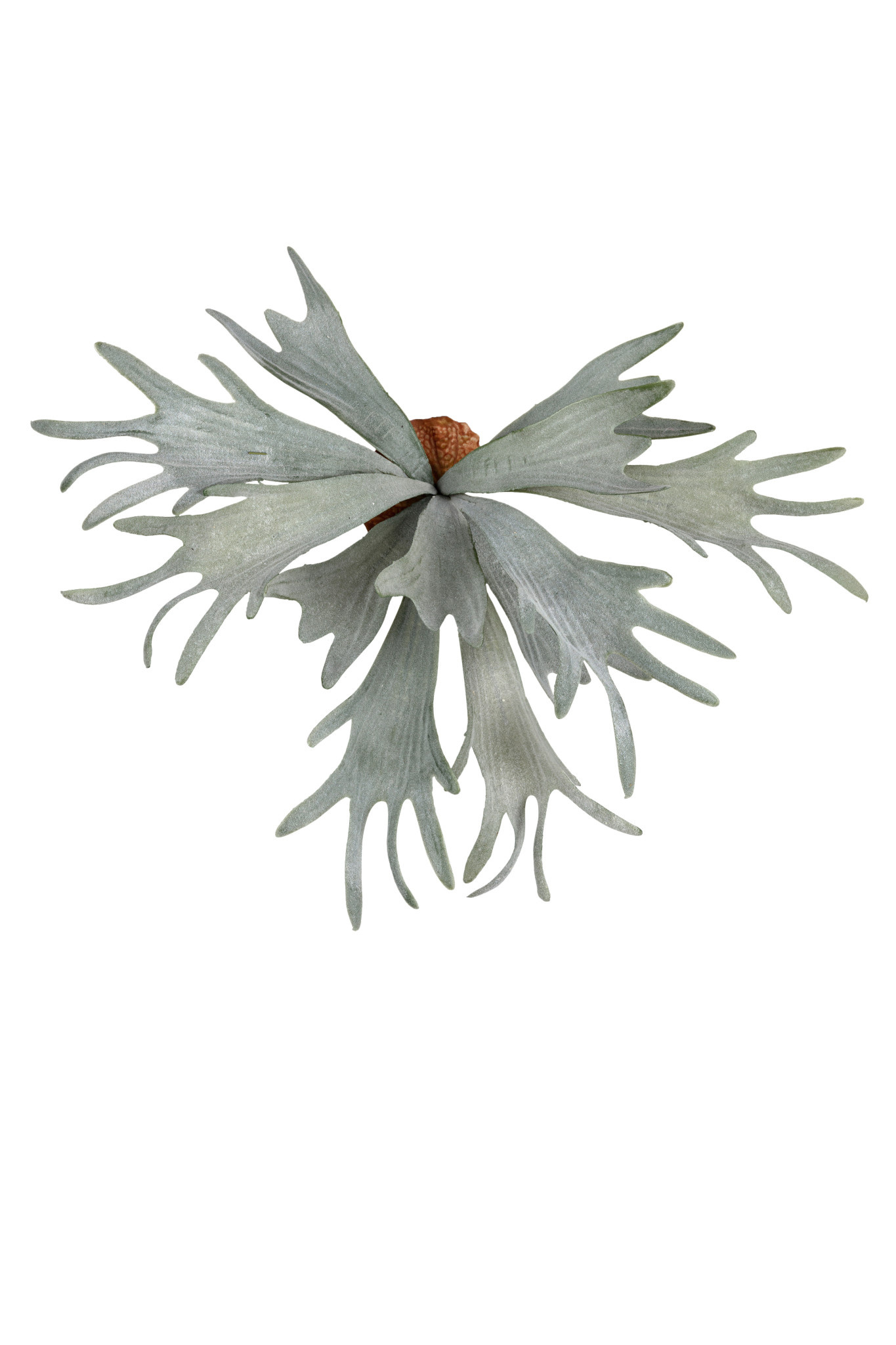 Artificial Stag Horn 32cm Eliassen.co.uk 83334 000