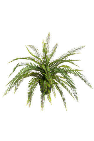 Künstlicher krauser Farn 60cm hoch Eliassen.nl 17281 060