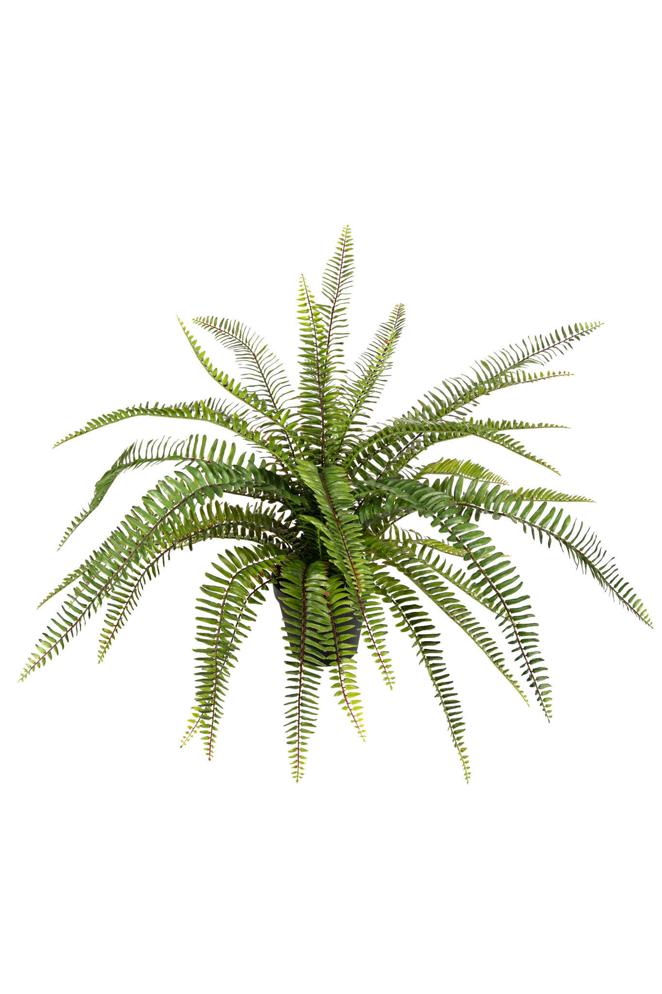 Künstlicher krauser Farn 60cm hoch Eliassen.nl 17281 060