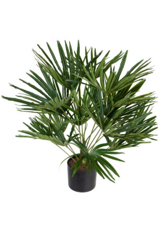 Kunstplant  Palm compact  Eliassen.nl 42100 060