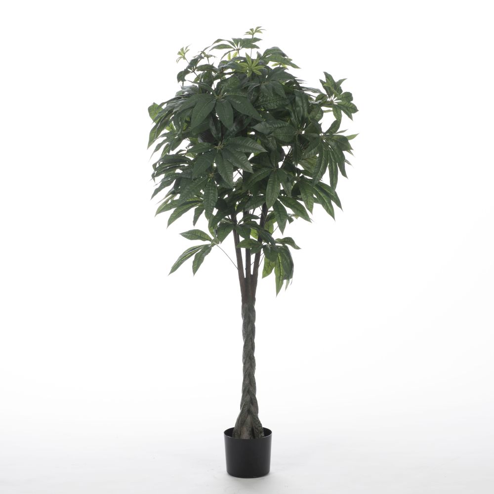 Artificial plant Pachira with braided stem 140cm