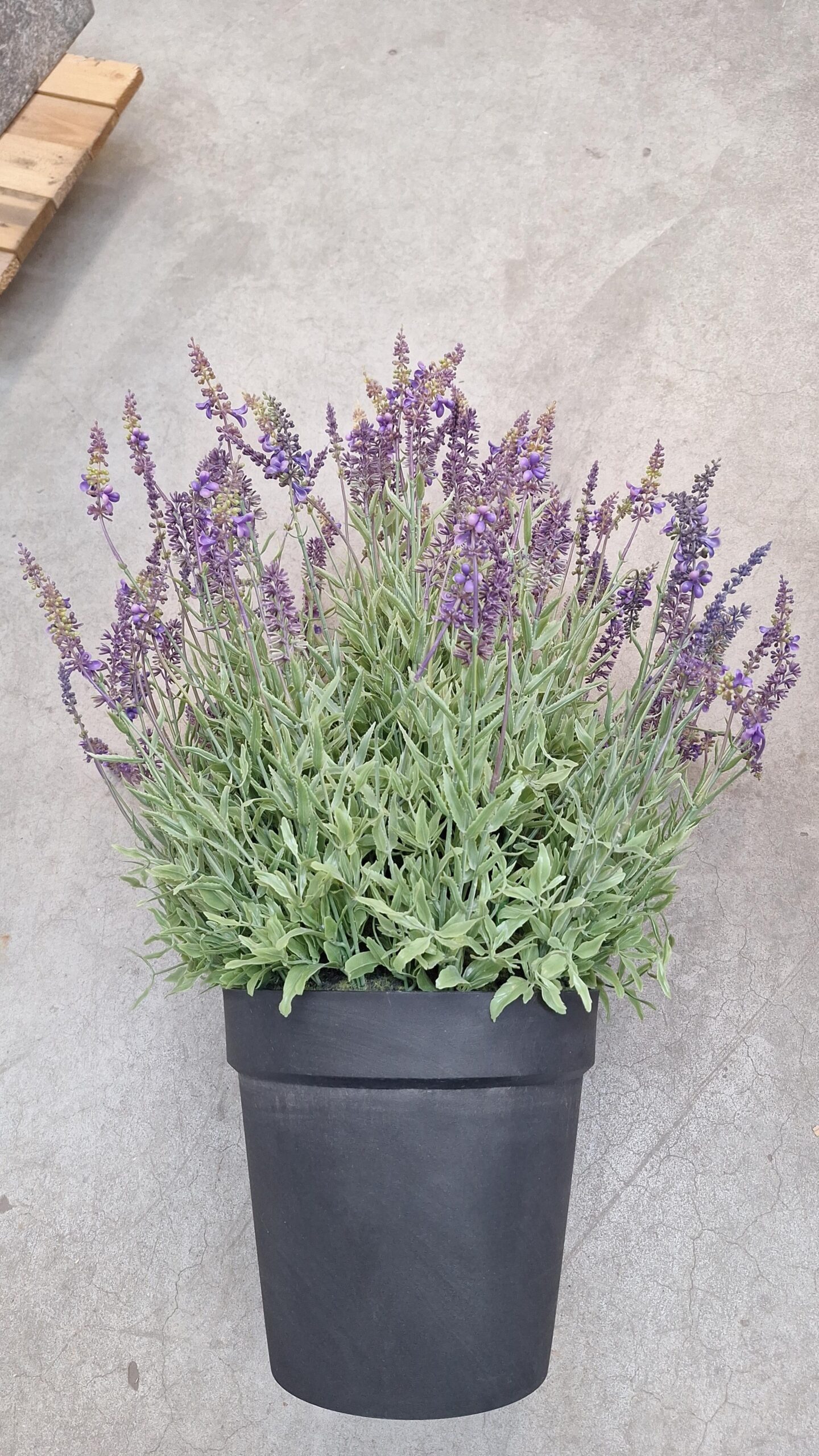 Kunstplant Lavendel in pot XXL paars 76cm