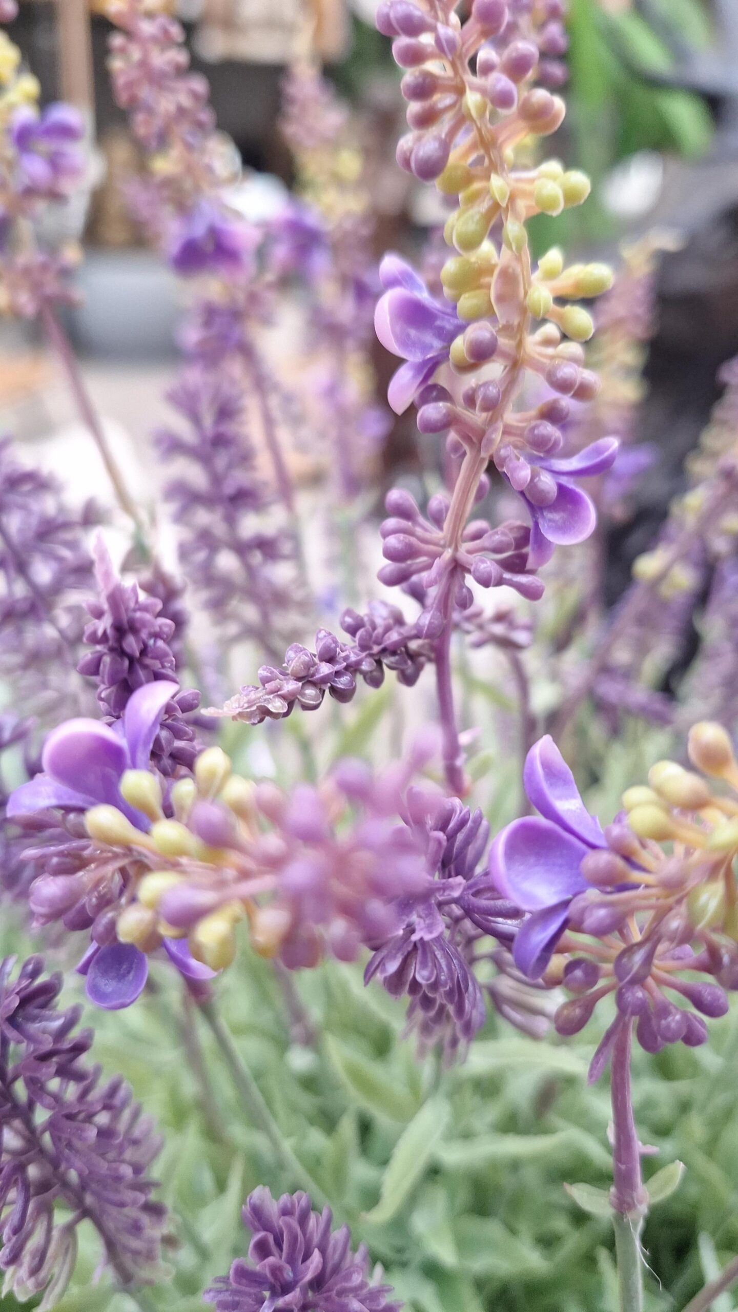 Kunstplant Lavendel in pot XXL paars 76cm