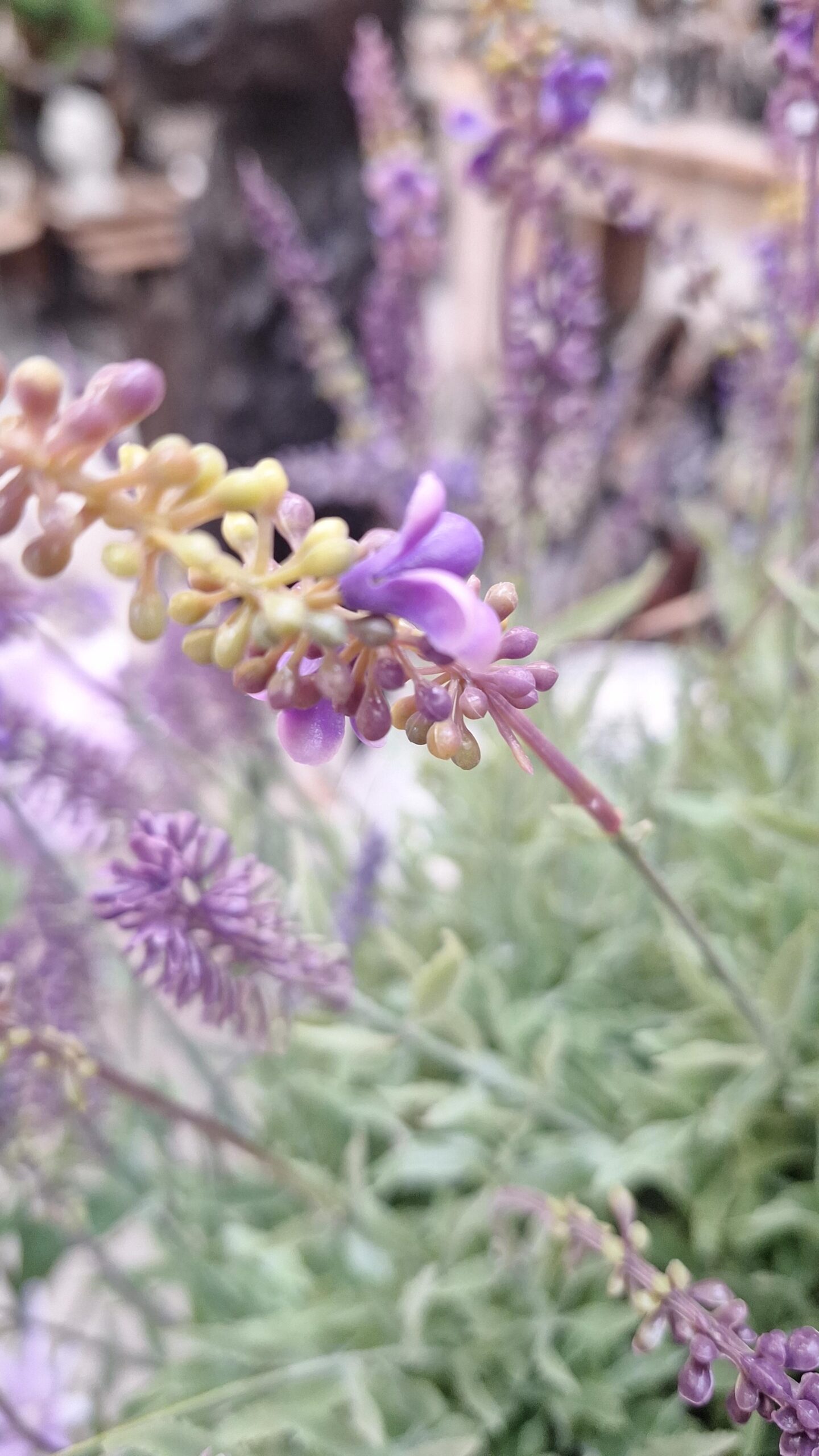 Kunstplant Lavendel in pot XXL paars 76cm
