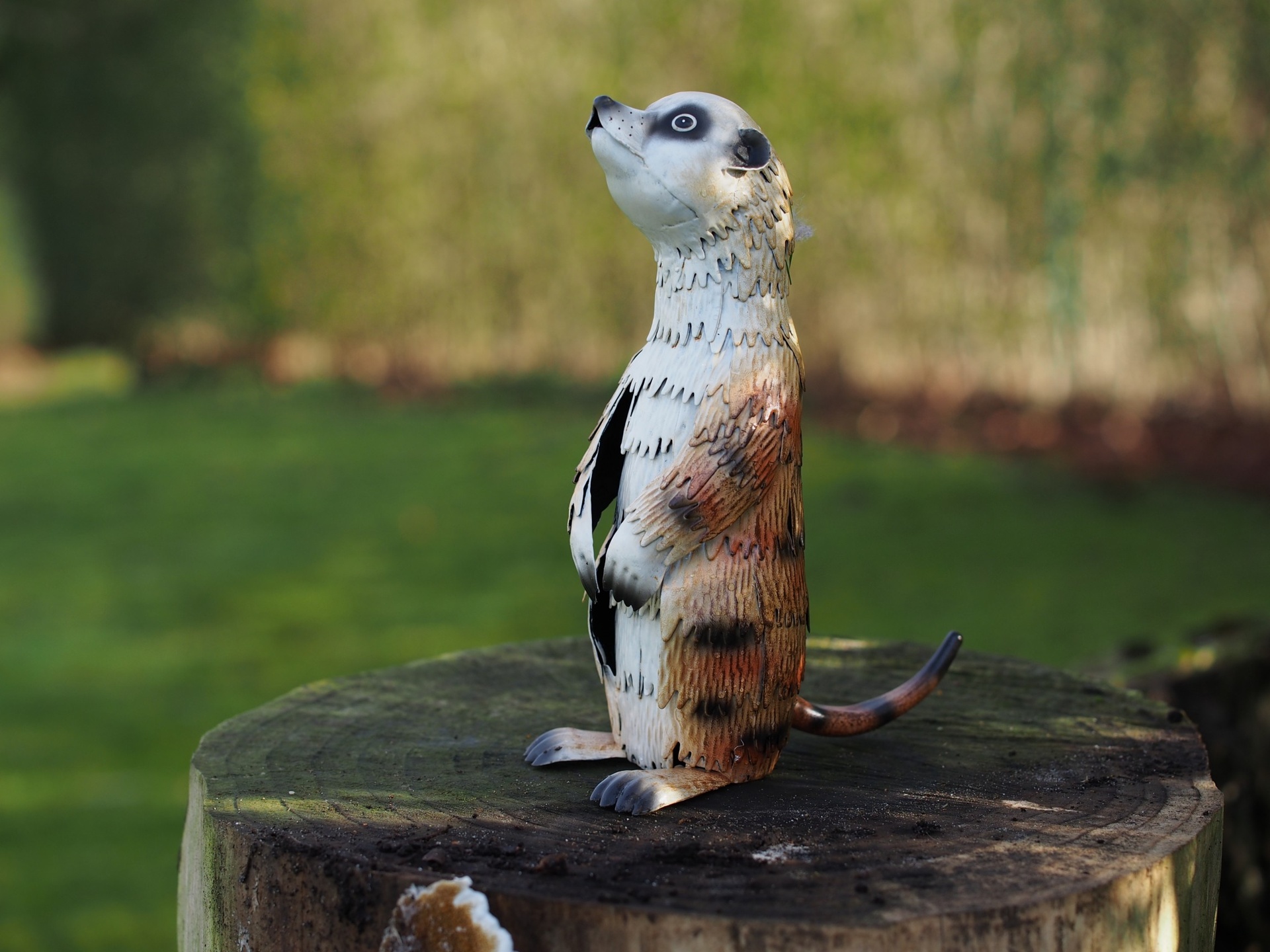 Metal figure meerkat standing 25cm