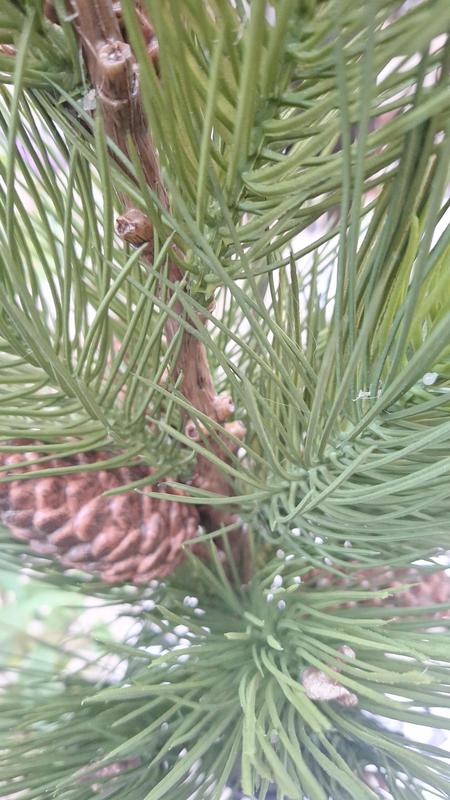 Kunstplant Pinus sier conifeer 68cm
