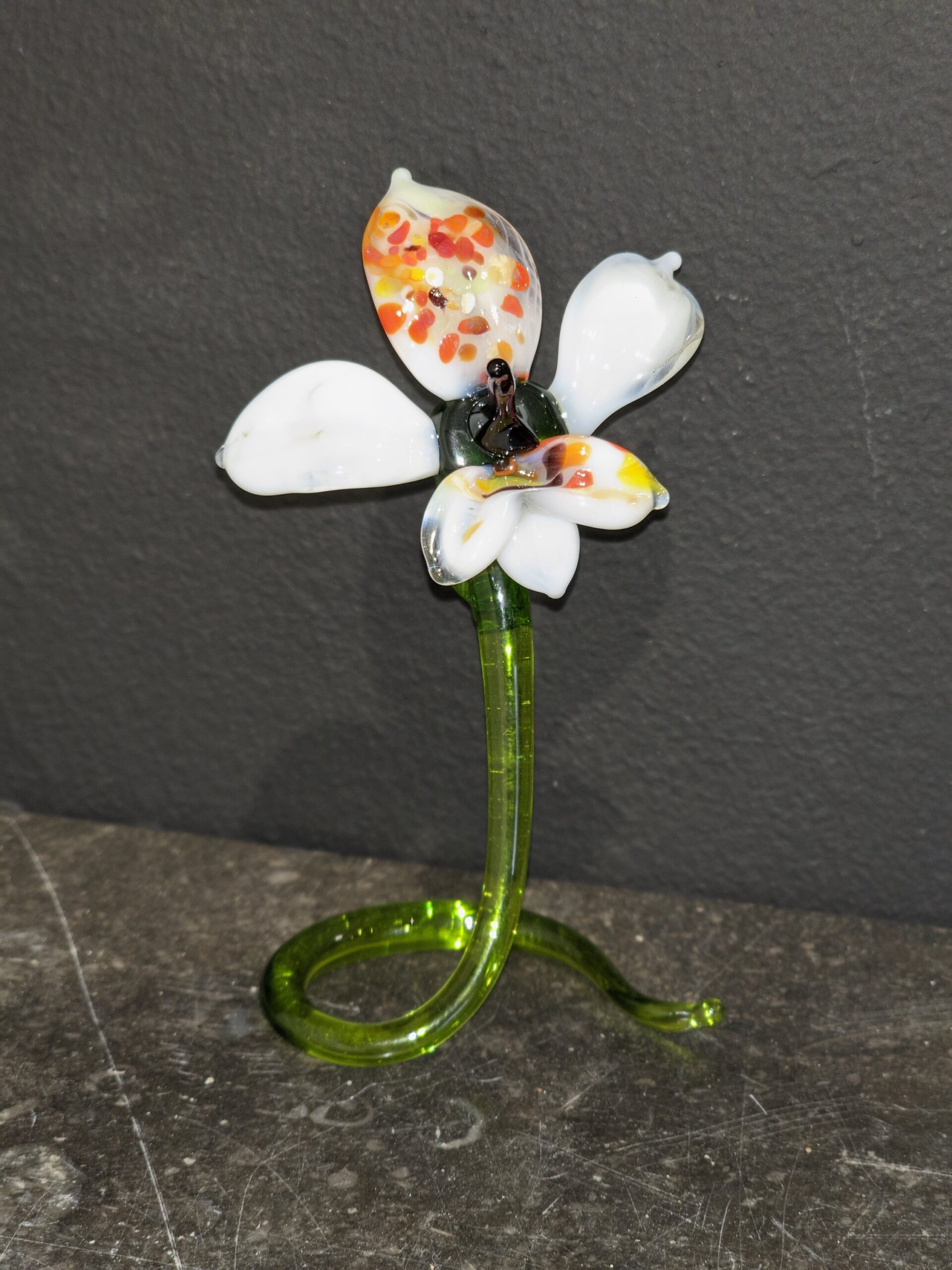 Miltonia bloem mini van glas wit 12cm