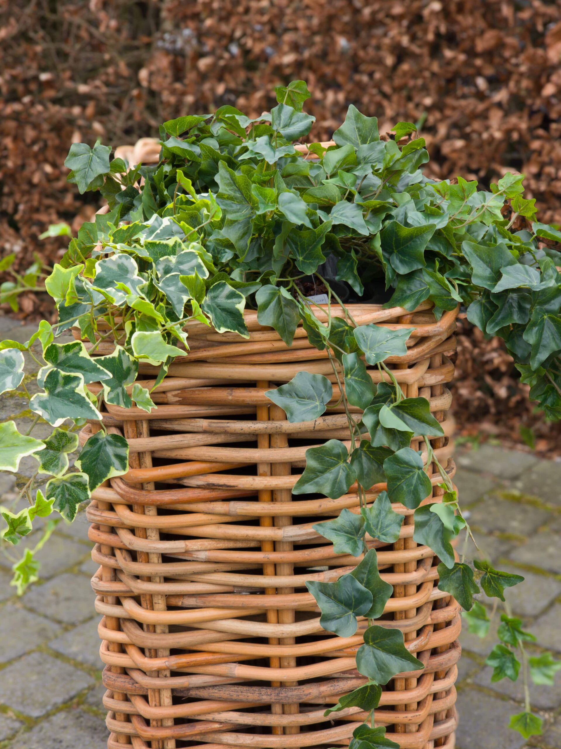Blumenkasten Rechteck aus dickem Rattan 93cm mit Innenbehälter