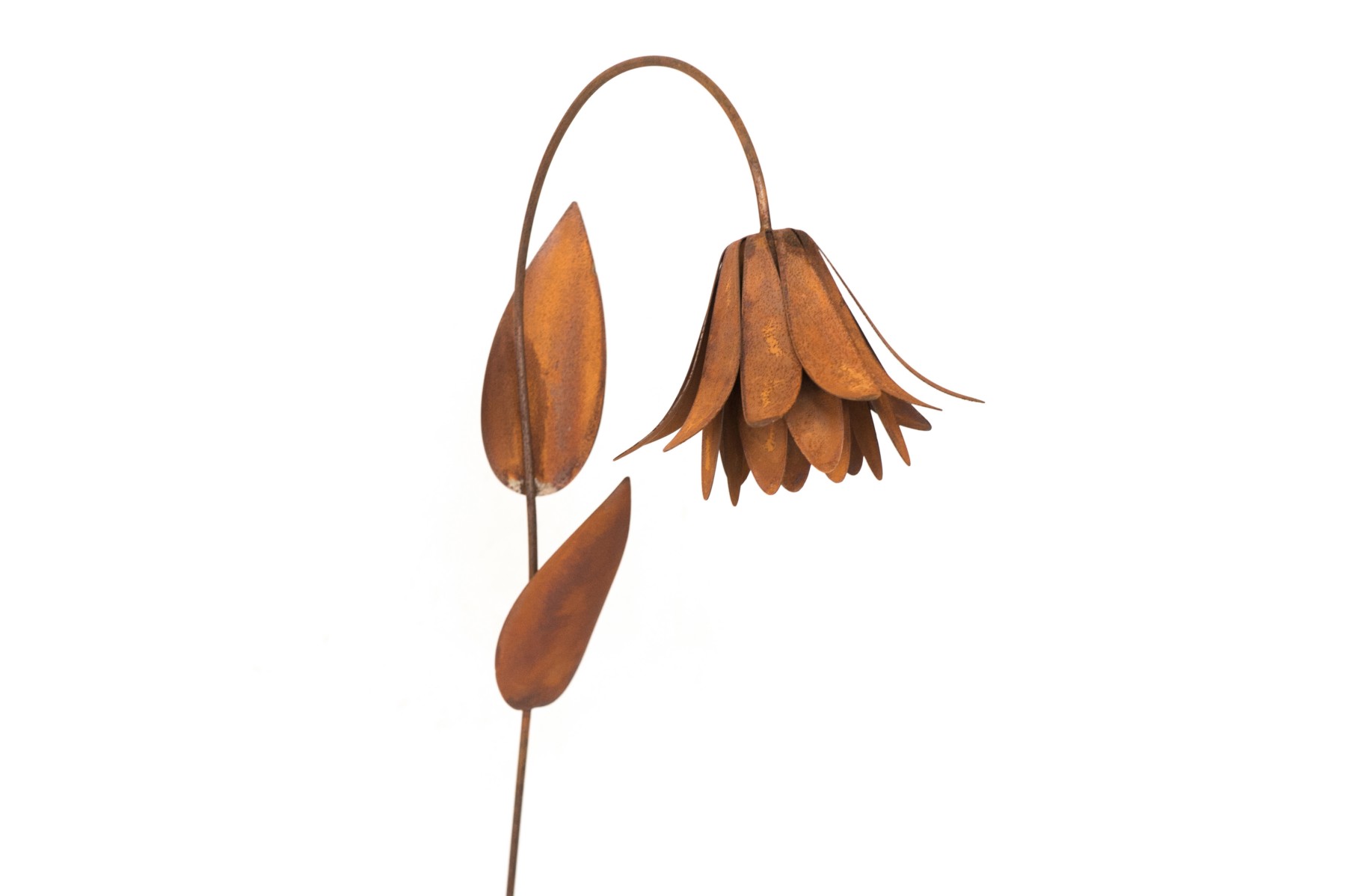 Garden stick metal Eco-rust XL flower calyx on stem 170cm eliassen.nl eliassen.nl