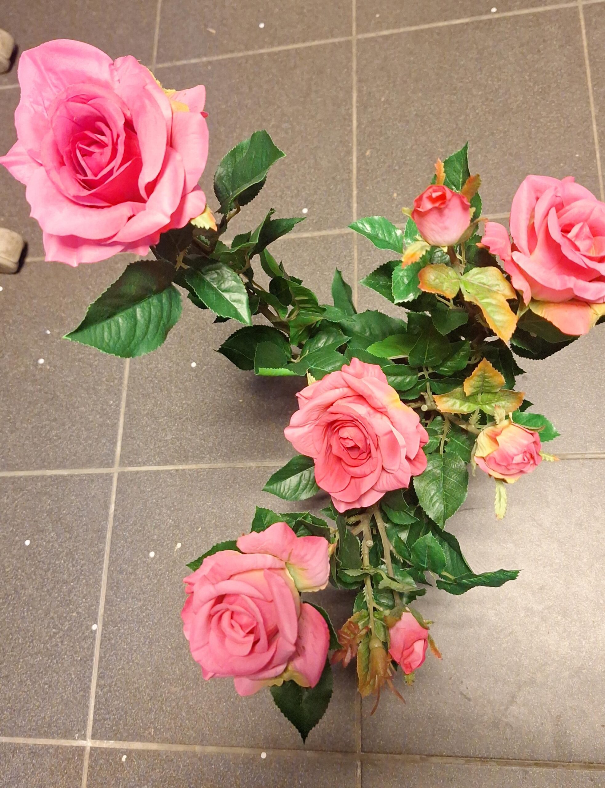 Teerose Super Weinrot 64cm