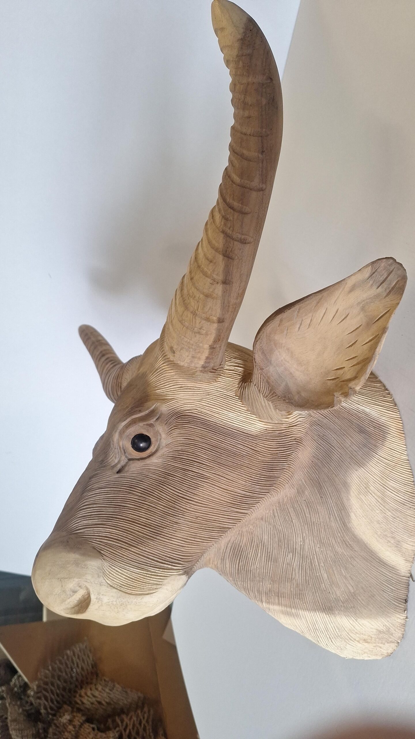 Beeld koeienkop 70cm breed !