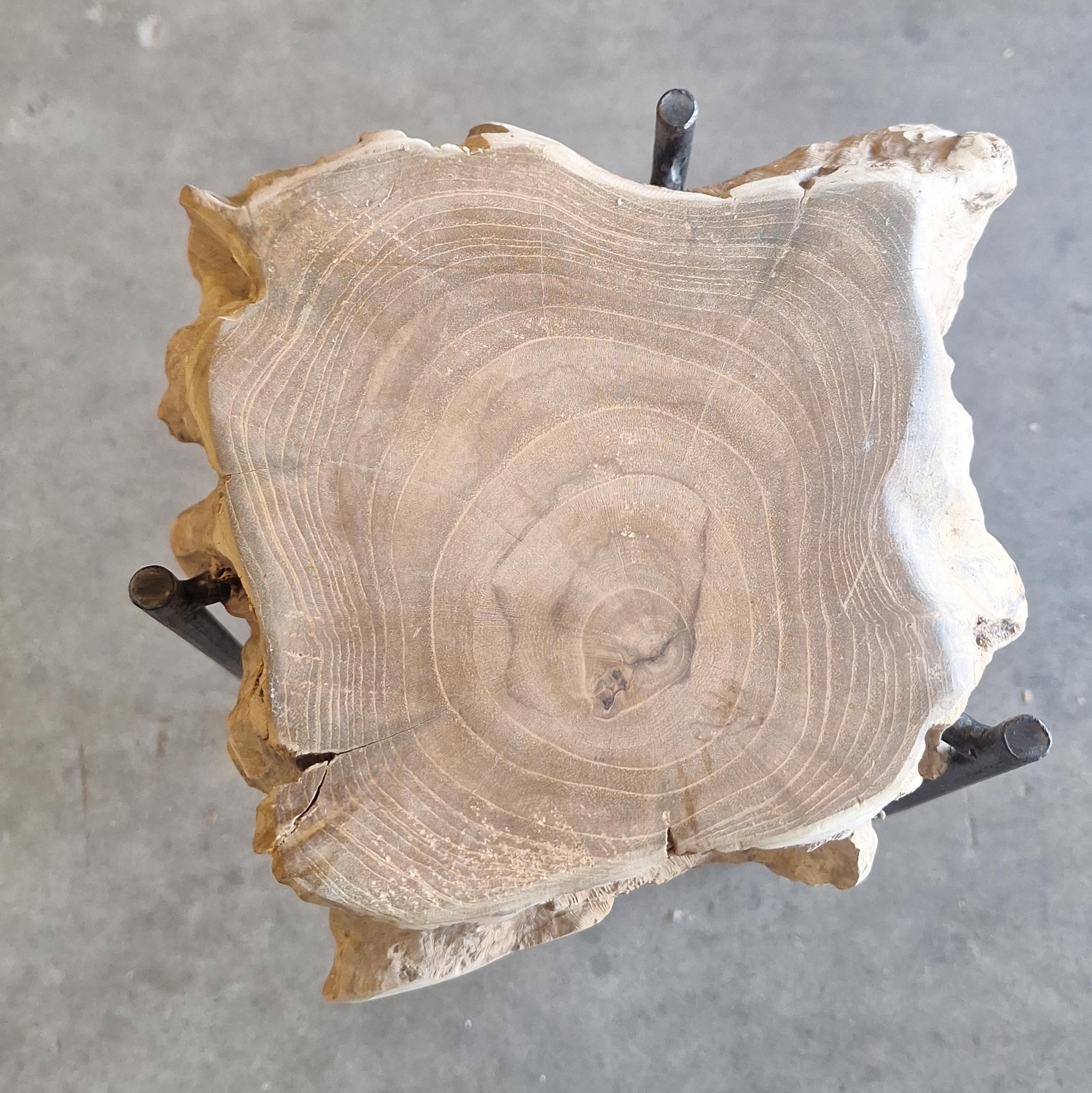 Plant table wood-iron Borneo 90cm