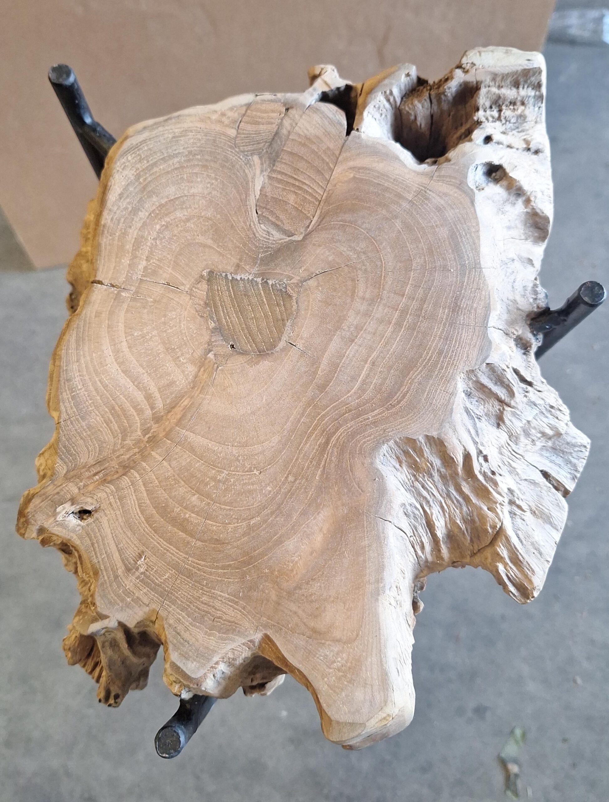 Pflanzentisch Holz-Eisen Borneo 110cm