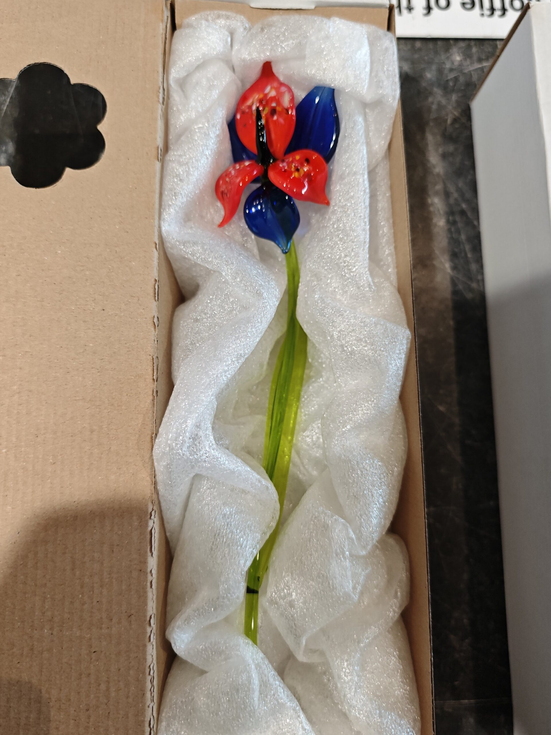 Bloem glas Miltonia orchidee 30cm rood blauw