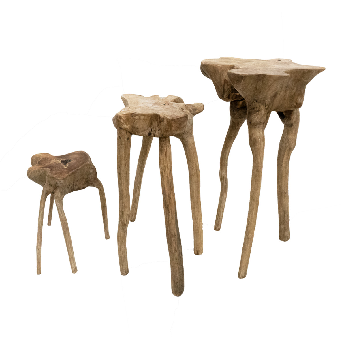 Plantentafel teak Octopus 75cm