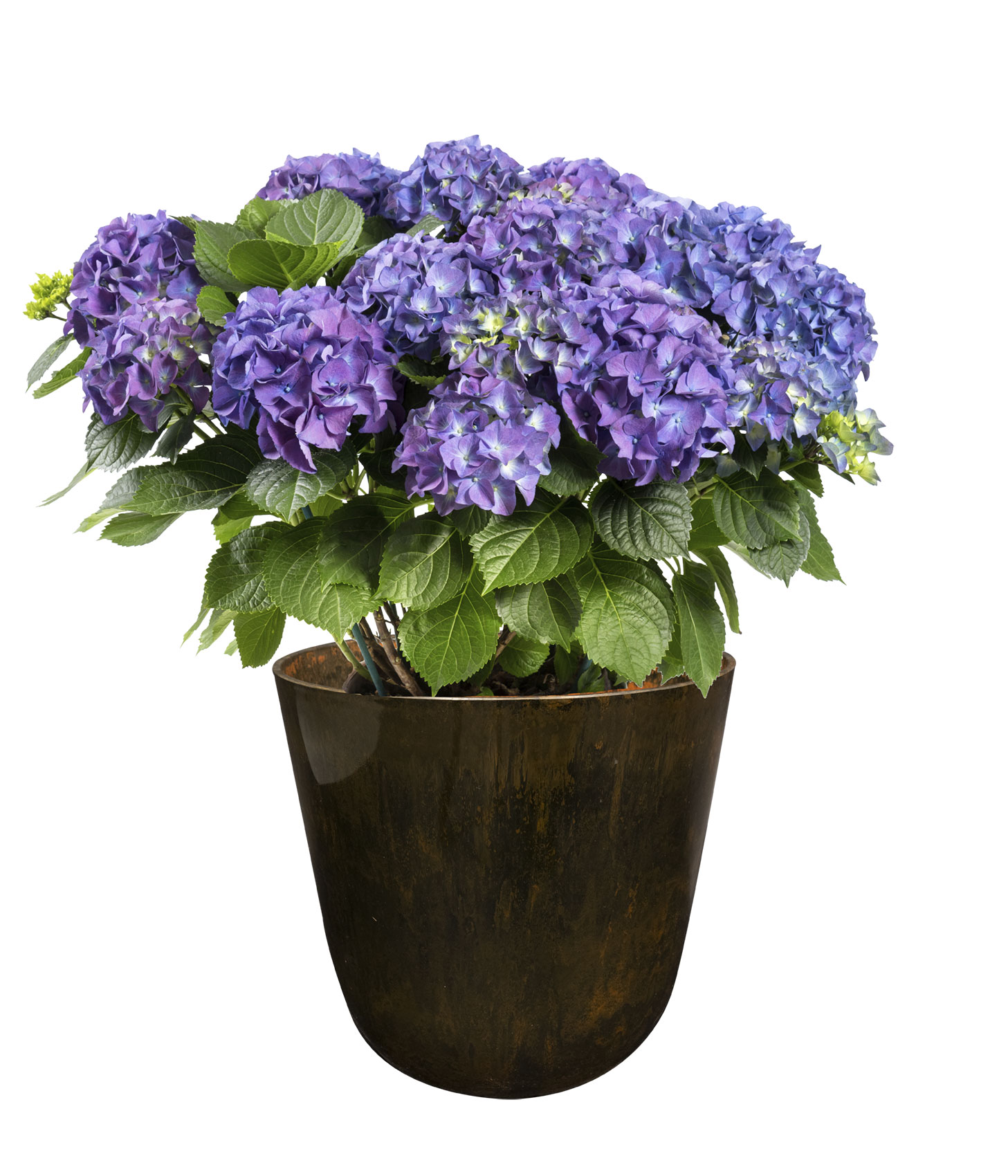 Pot melamine Palermo Marble Bruin 35cm