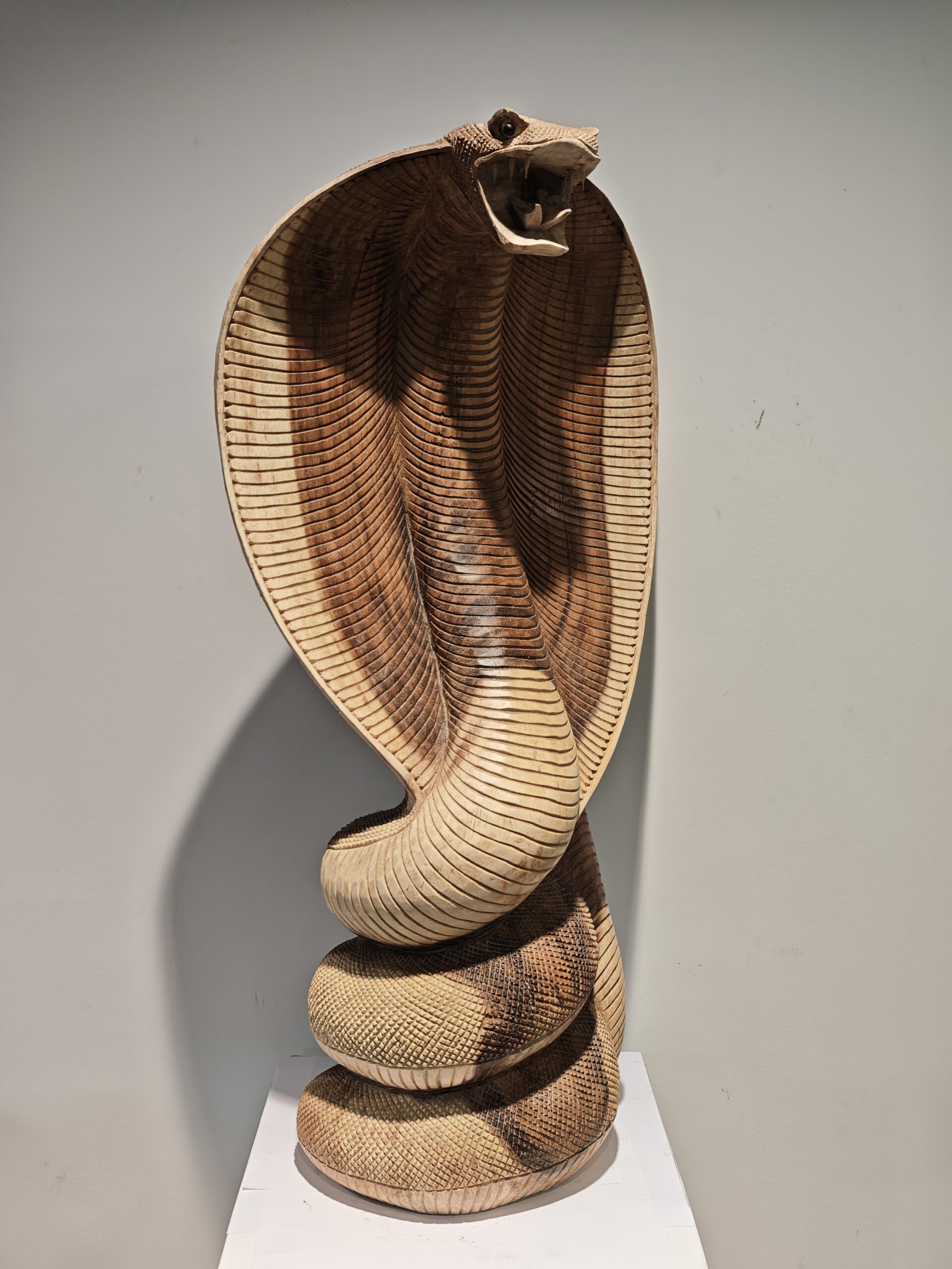 Beeld hout gedetailleerde Cobra slang 80cm eliassen.nl