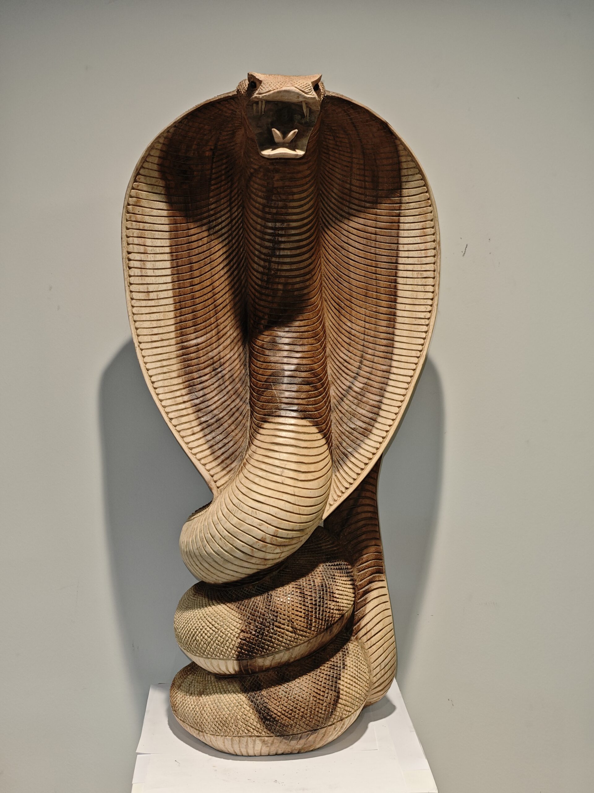 Beeld hout gedetailleerde Cobra slang 80cm eliassen.nl