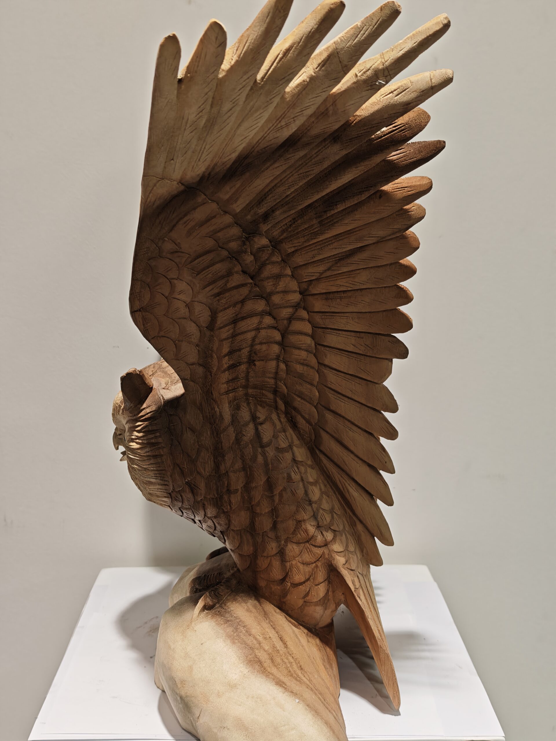 Beeld hout uil met vleugels open 50cm eliassen.nl