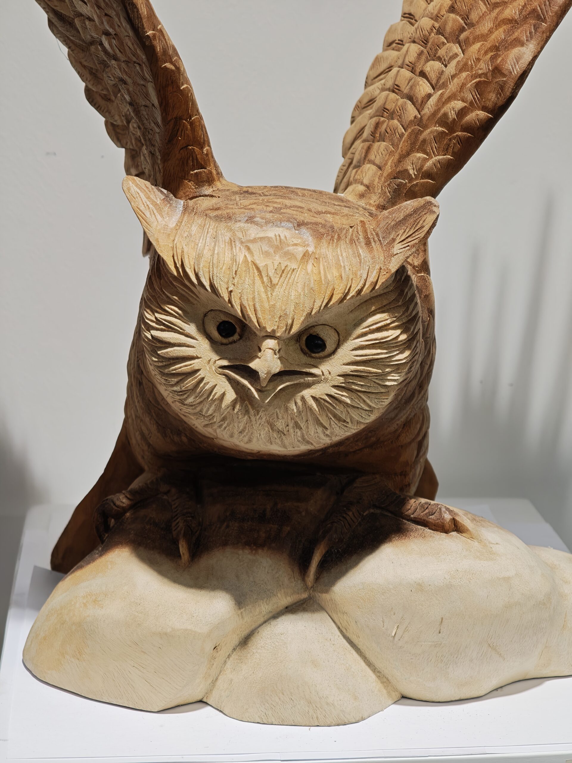 Beeld hout uil met vleugels open 50cm eliassen.nl