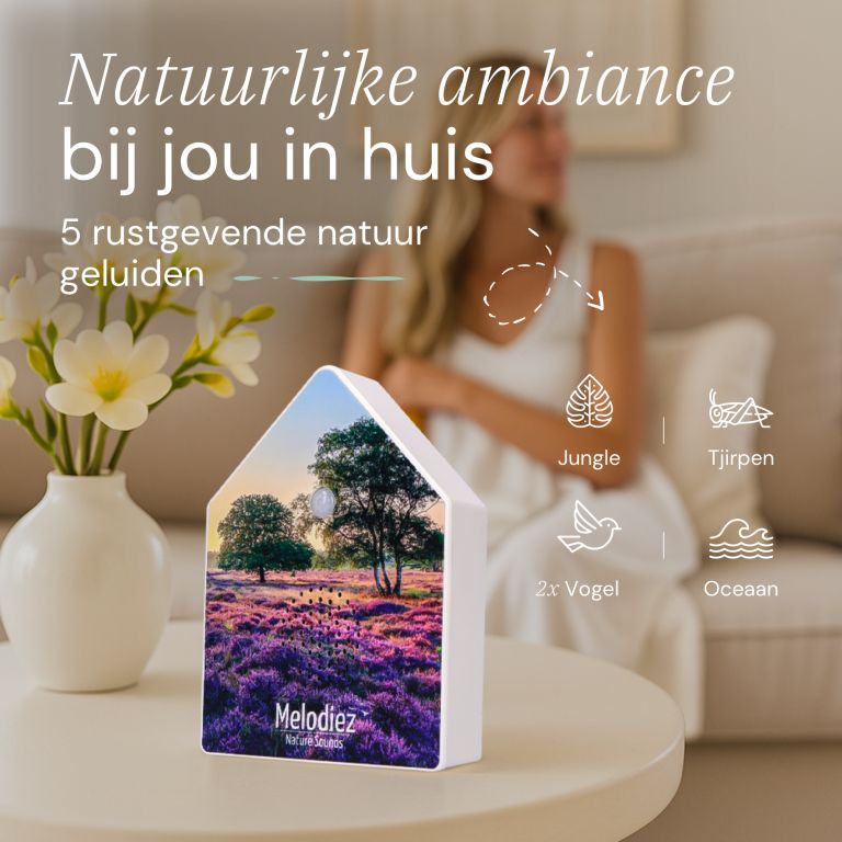 Klangkasten Haus mit Naturgeräuschen Deluxe Lavendel 15cm eliassen.de 1