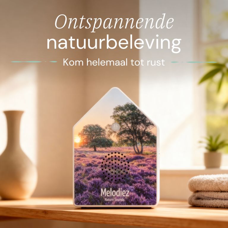 Klangkasten Haus mit Naturgeräuschen Deluxe Lavendel 15cm eliassen.de 1