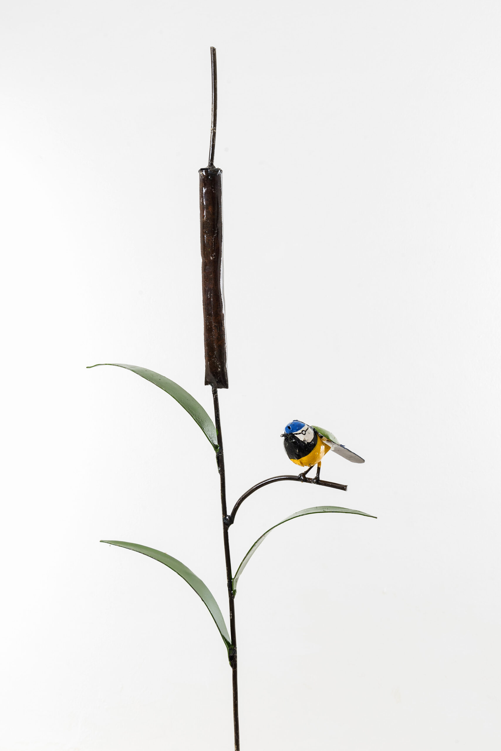 Tuinsteker Mees blauw in rietplant Eliassen.nl Zimba za408383