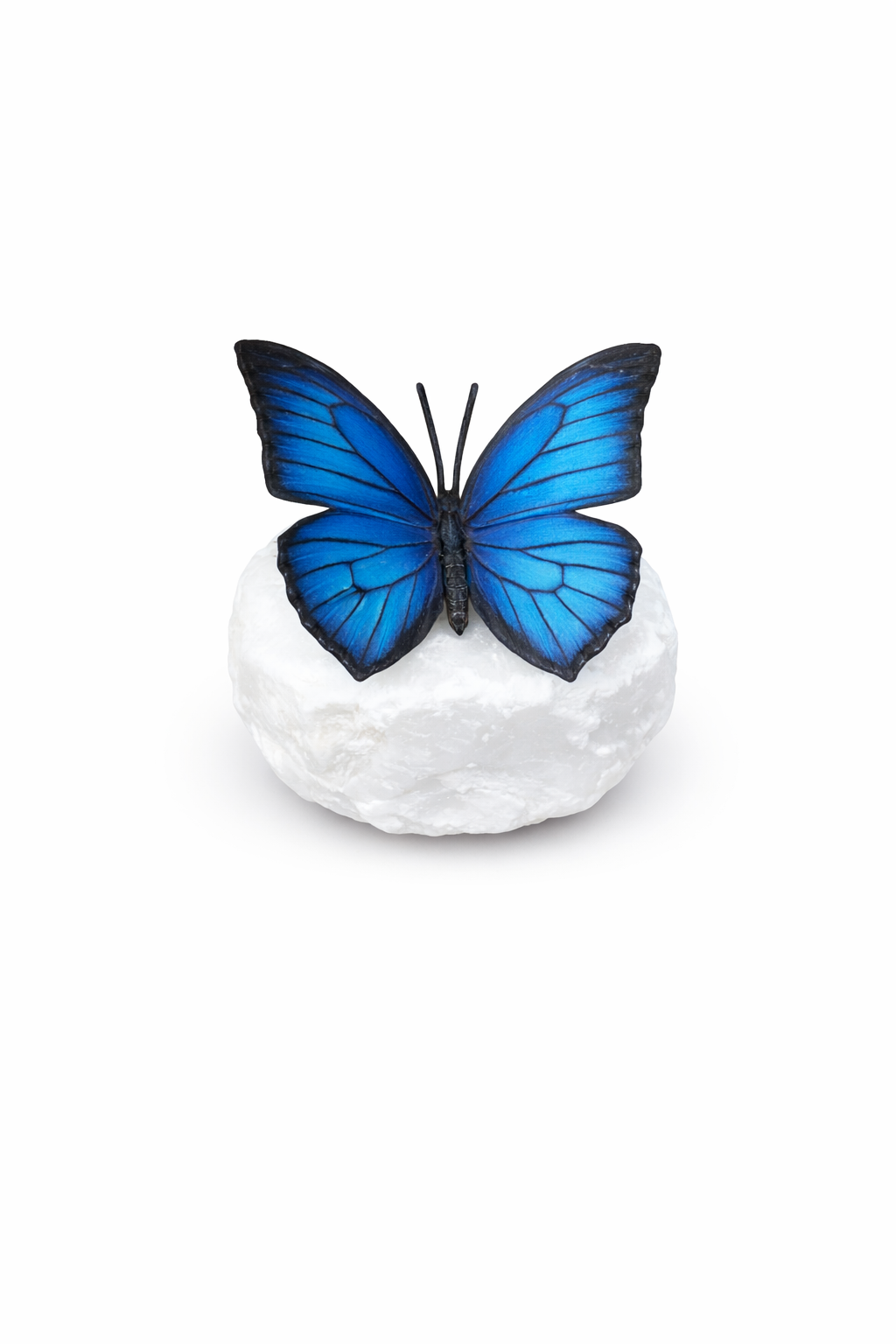 Bronzen beeld op kei Vlinder Morpho blauw 11cm