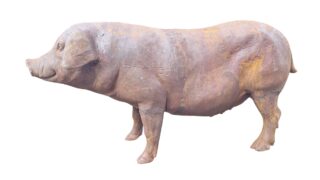 Varken gietijzer 100cm - Eliassen.nl