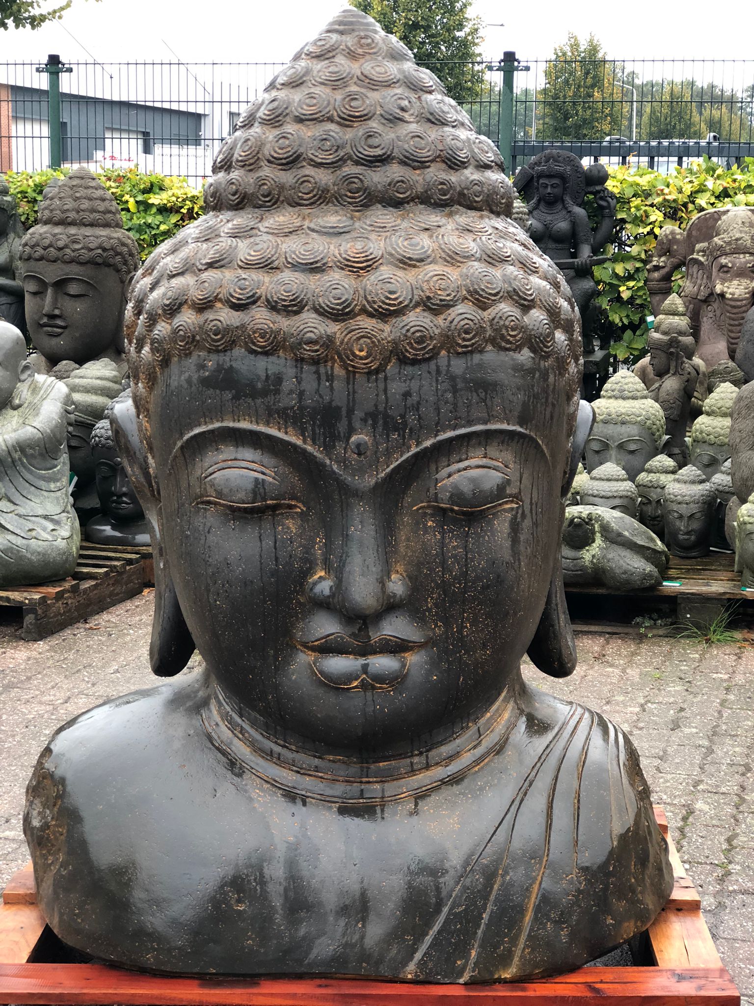 Garden statue buddha bust 150cm - Eliassen.nl